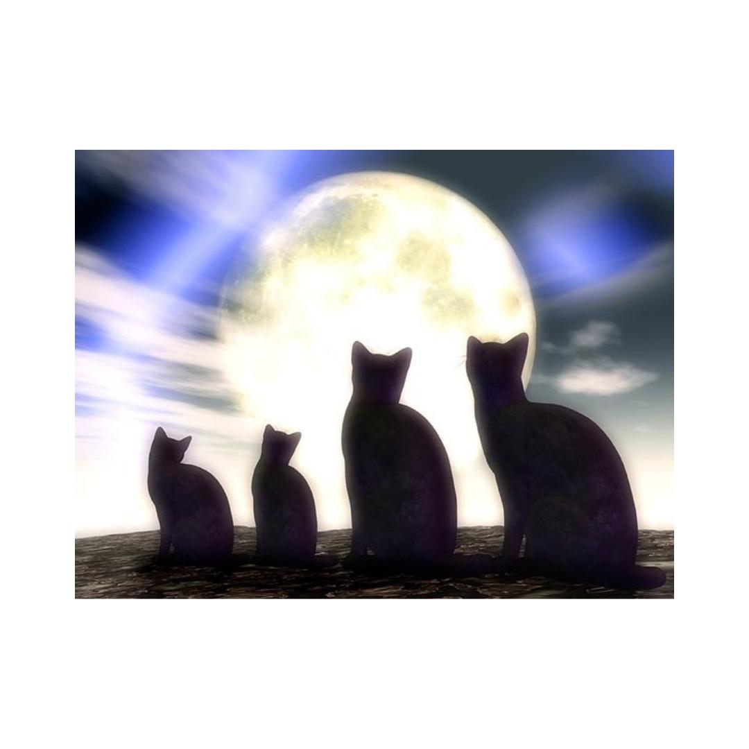 CATS-Kitty Family in the Moonlight by Alan Foxx– PoP x HoyPoloi