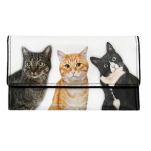 CAT - UN DEUX TROIS