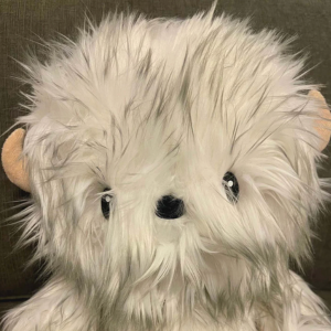 Darwin Plush by Fabio Napoleoni