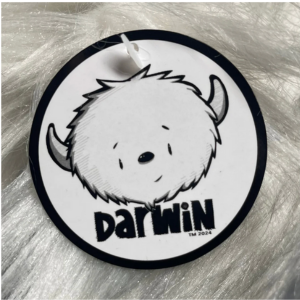 Darwin Plush by Fabio Napoleoni
