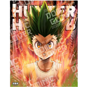 Hunter x Hunter - GON - The Enhancer by Dominic Glover - PoP x HoyPoloi Gallery