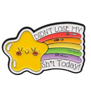 PIN-Didn't Lose My-STAR