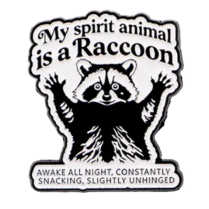Pin-Raccoon Spirit Animal - PoP x HoyPoloi Gallery
