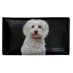 DOG - MALTESE - PoP x HoyPoloi Gallery