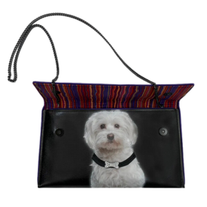 DOG - MALTESE - PoP x HoyPoloi Gallery