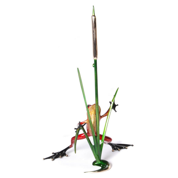 CATTAIL - PoP x HoyPoloi Gallery