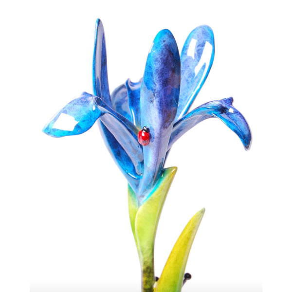 IRIS - PoP x HoyPoloi Gallery
