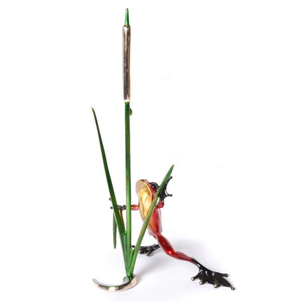 CATTAIL - PoP x HoyPoloi Gallery