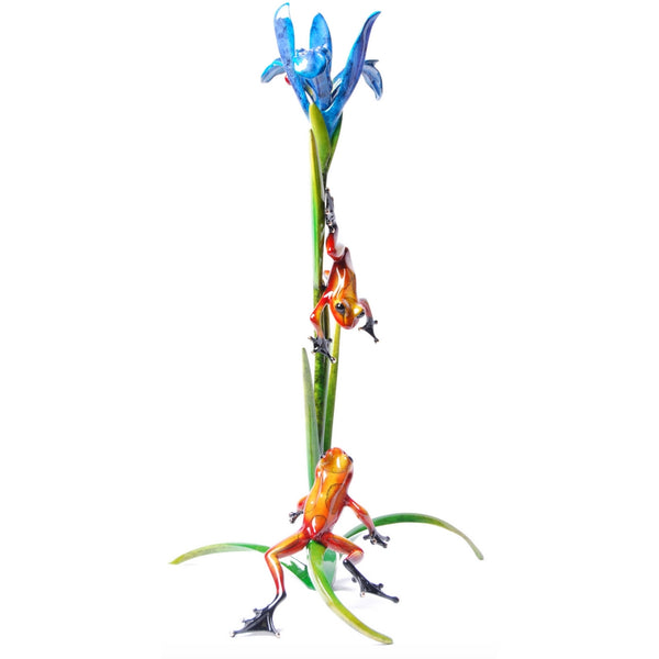 IRIS - PoP x HoyPoloi Gallery