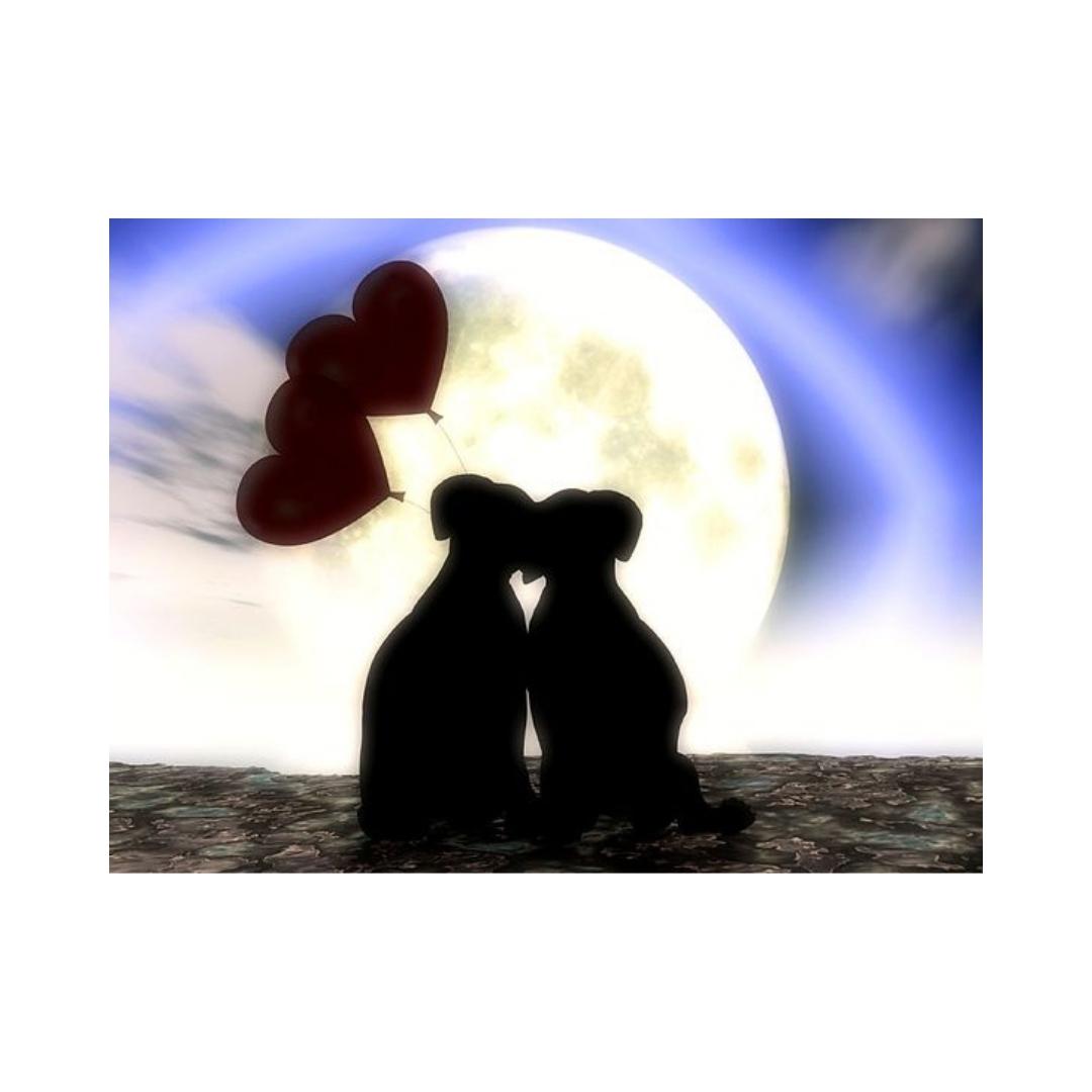 DOGS-Puppy Snuggling with Hearts by Alan Foxx - PoP x HoyPoloi Gallery
