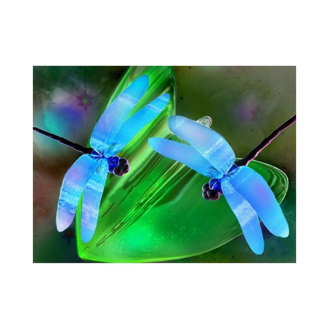 DRAGONFLIES-Dragonfly Flight by Alan Foxx - PoP x HoyPoloi Gallery
