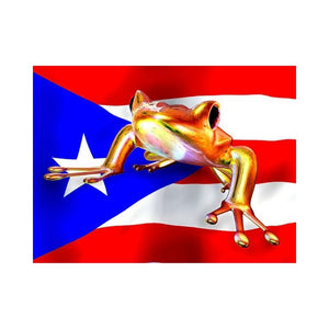 FROGS-Proud Coqui by Alan Foxx - PoP x HoyPoloi Gallery