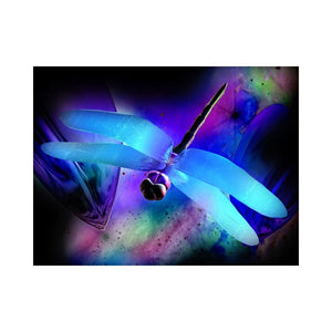 DRAGONFLIES-Dragonfly in the Night by Alan Foxx - PoP x HoyPoloi Gallery