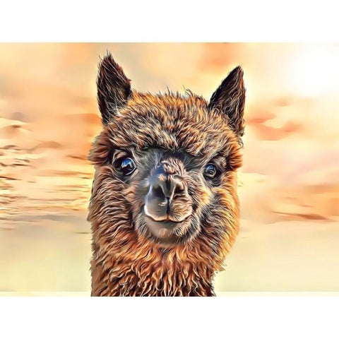 ANIMALS-Alpaca Saying Hi by Alan Foxx - PoP x HoyPoloi Gallery