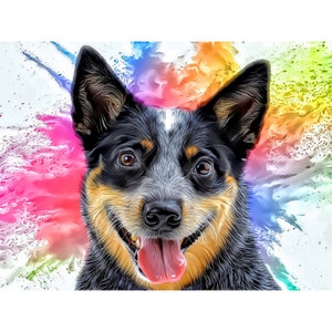 DOGS - Australian Cattle Dog Smile by Alan Foxx - PoP x HoyPoloi Gallery