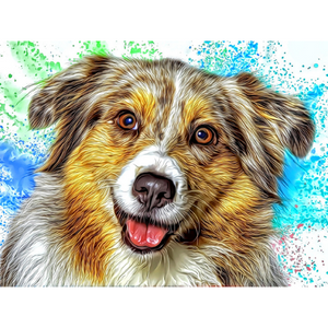 DOGS - Australian Shepard Happiness by Alan Foxx - PoP x HoyPoloi Gallery