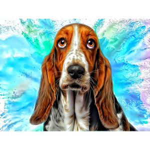 DOGS - Bassett Hound Adoration by Alan Foxx - PoP x HoyPoloi Gallery