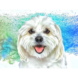 DOGS - Bichon Happiness by Alan Foxx - PoP x HoyPoloi Gallery