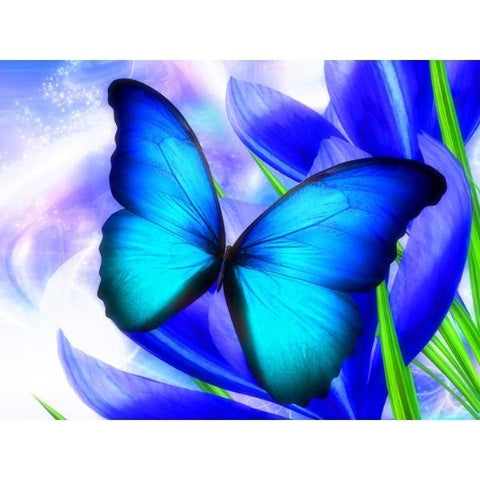 BUTTERFLIES-Blue Butterfly Mystique by Alan Foxx - PoP x HoyPoloi Gallery