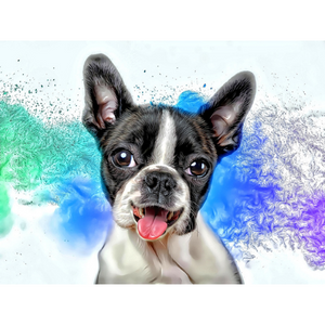 DOGS - Boston Terrier Happiness by Alan Foxx - PoP x HoyPoloi Gallery