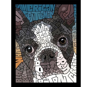 DOG-BOSTON TERRIER by Curtis Epperson - PoP x HoyPoloi Gallery
