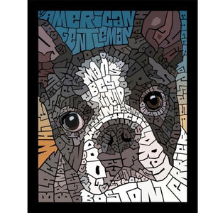 DOG-BOSTON TERRIER by Curtis Epperson - PoP x HoyPoloi Gallery