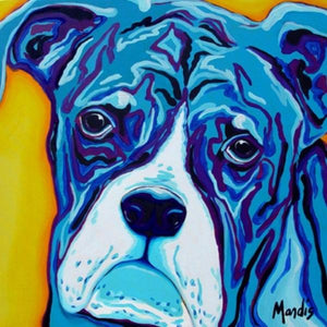 BUSTER-Boxer by Michelle Mardis - PoP x HoyPoloi Gallery