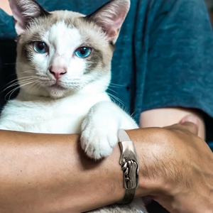 CAT PAW BRACELET ACTIVE Fushia PoP x HoyPoloi Gallery