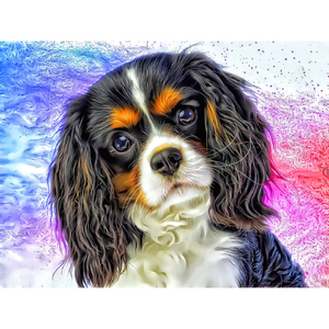 DOGS - Cavalier King Charles Affection by Alan Foxx - PoP x HoyPoloi Gallery