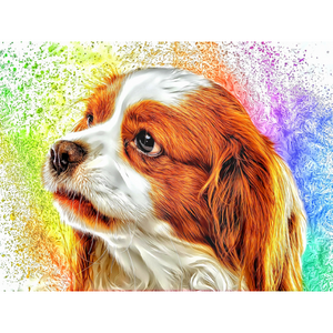 DOGS - Cavalier King Charles Precious by Alan Foxx - PoP x HoyPoloi Gallery