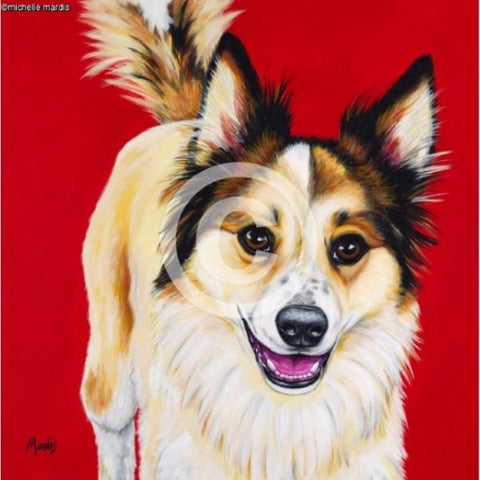 CODY-Dog by Michelle Mardis - PoP x HoyPoloi Gallery