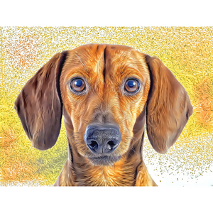 DOGS - Dachshund Affection by Alan Foxx - PoP x HoyPoloi Gallery