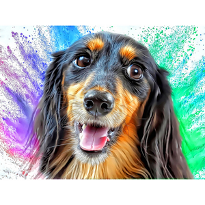 DOGS - Dachshund Longhair Cheer by Alan Foxx - PoP x HoyPoloi Gallery