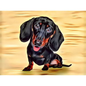 DOGS - Dachshund Puppy by Alan Foxx - PoP x HoyPoloi Gallery