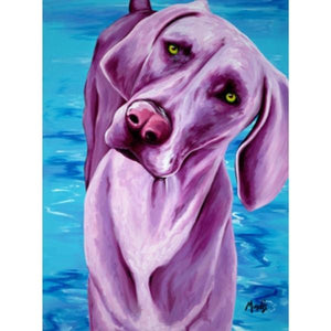 DUSTY-Weimaraner by Michelle Mardis - PoP x HoyPoloi Gallery