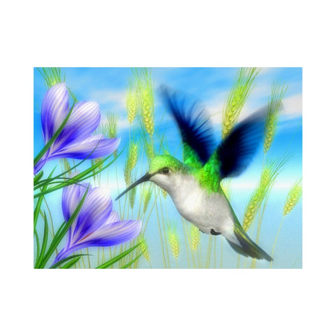 BIRDS-Emerald Hummingbirds by the Shoreline by Alan Foxx - PoP x HoyPoloi Gallery