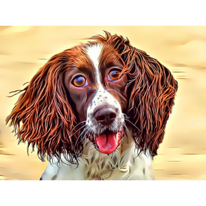 DOGS - English Springer Spaniel Liver And White by Alan Foxx - PoP x HoyPoloi Gallery