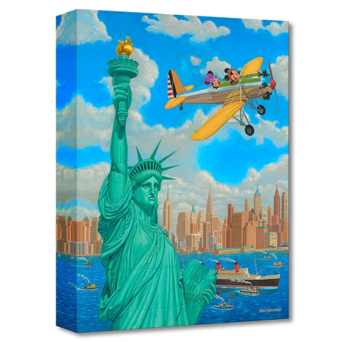 FREEDOM FLIGHT by Manuel Hernandez -  Disney Treasure - PoP x HoyPoloi Gallery