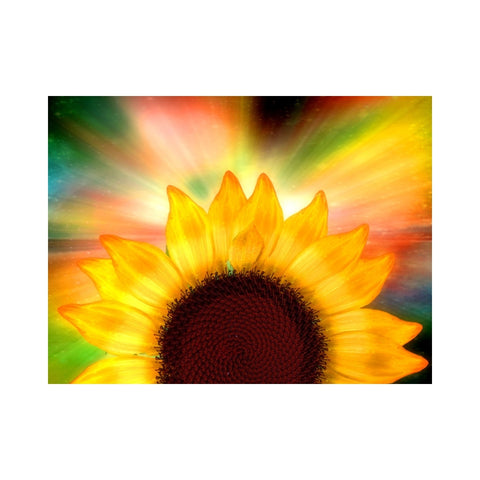 FLOWERS-Flower Child by Alan Foxx - PoP x HoyPoloi Gallery