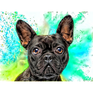 DOGS - French Bulldog Precious by Alan Foxx - PoP x HoyPoloi Gallery