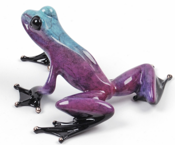 SPIRIT-2008 Show Frog - PoP x HoyPoloi Gallery