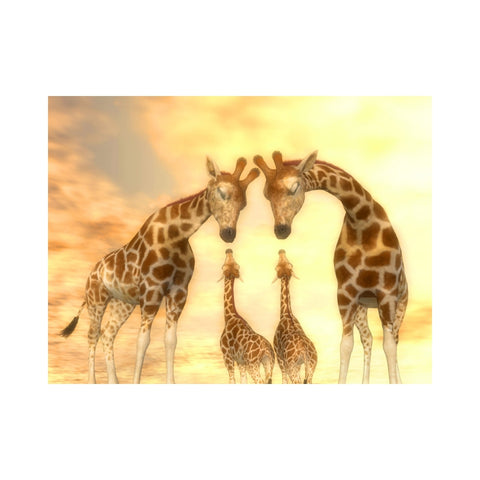 GIRAFFES-Giraffe Family Admire by Alan Foxx - PoP x HoyPoloi Gallery