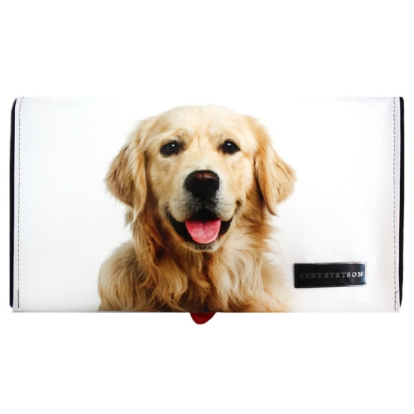DOG-GOLDEN RETRIEVER - PoP x HoyPoloi Gallery