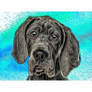 DOGS - Great Dane Precious by Alan Foxx - PoP x HoyPoloi Gallery