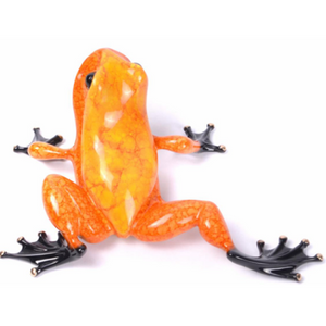 HABANERO - PoP x HoyPoloi Gallery