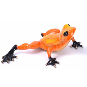 HABANERO - PoP x HoyPoloi Gallery