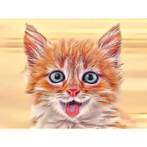 CATS - Happy Kitty Joy by Alan Foxx - PoP x HoyPoloi Gallery