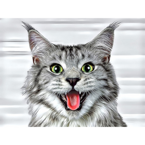 CATS - Happy Maine Coon Kitty by Alan Foxx - PoP x HoyPoloi Gallery