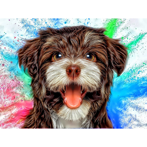 DOGS - Havanese Love by Alan Foxx - PoP x HoyPoloi Gallery