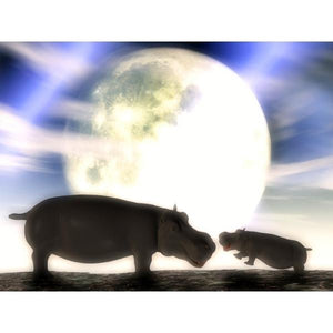 HIPPOS-Hippo Baby Joy by Alan Foxx - PoP x HoyPoloi Gallery